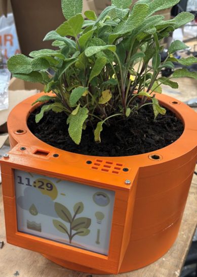 Plant Buddy