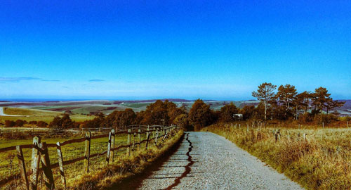 rural landscape