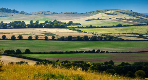 Bedfordshire countryside