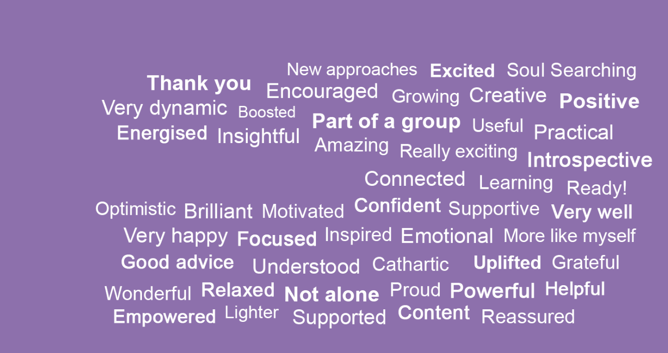 Word cloud capturing comments about the Springboard programme
