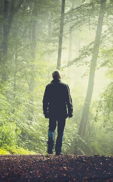 Man walking through a forest with sun shining through the tall trees