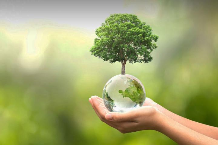 Sustainability-tree-in-hand_960640