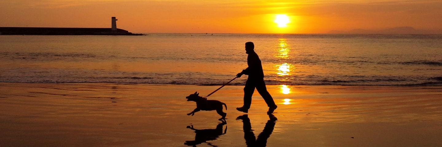 Man walking dog on beach at sunset