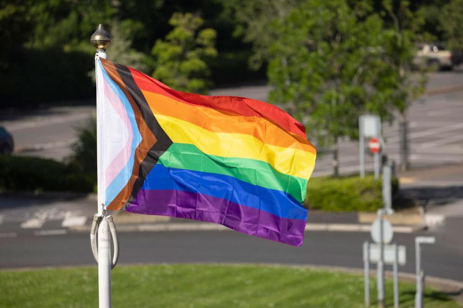 Progress Pride flag flying at a Leonardo site