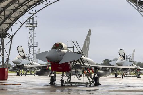 Typhoon display team aircraft with RAF100 livery