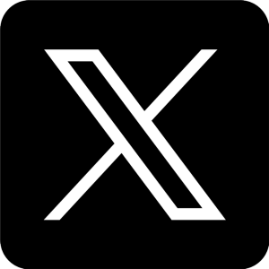 X icon