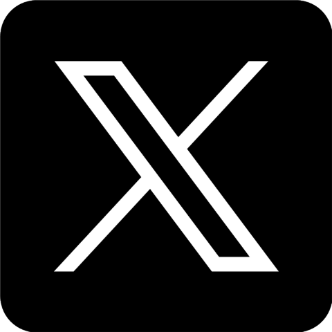 X icon