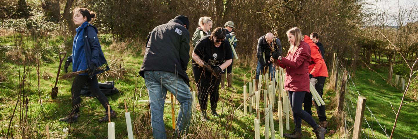 Carma-tree-planting_1440480