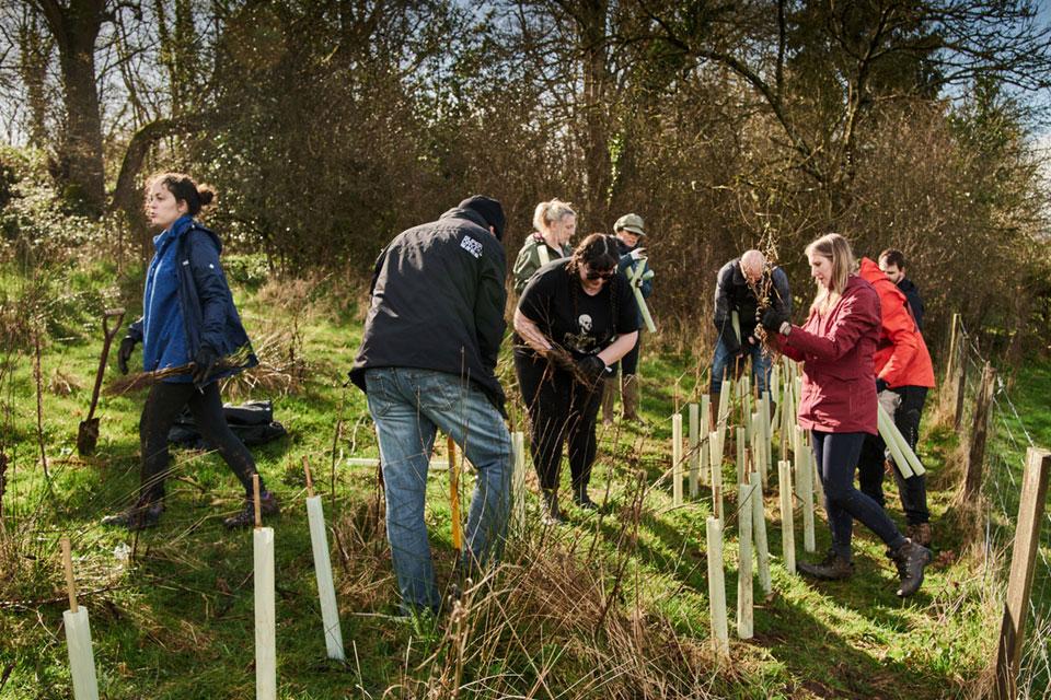 Carma-tree-planting_960640